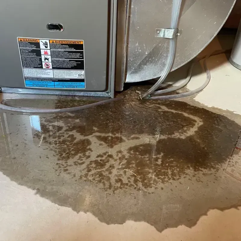 Appliance Leak Cleanup in Anaconda, MT